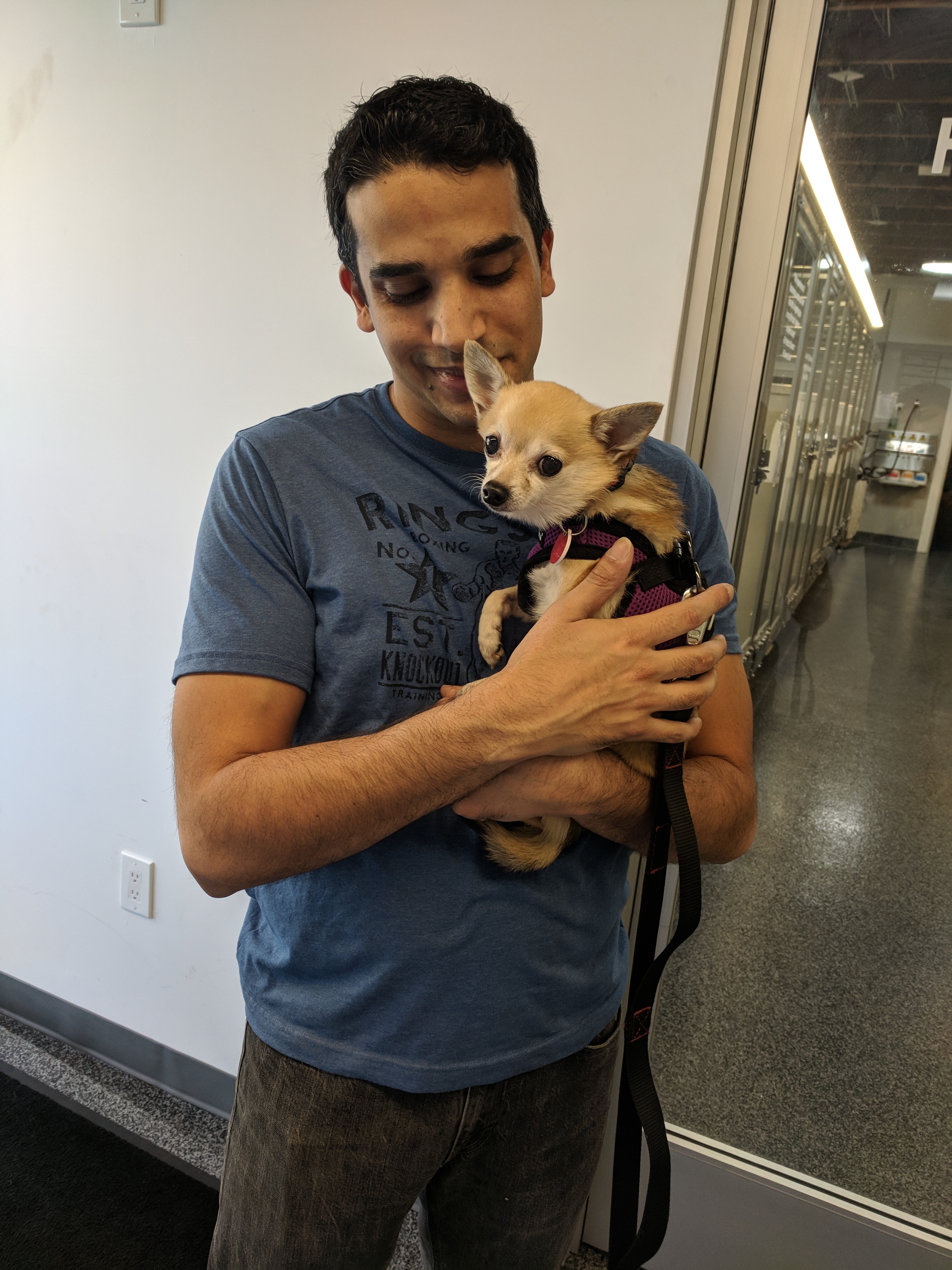 Aalap volunteering with a small dog at Wags and Walks