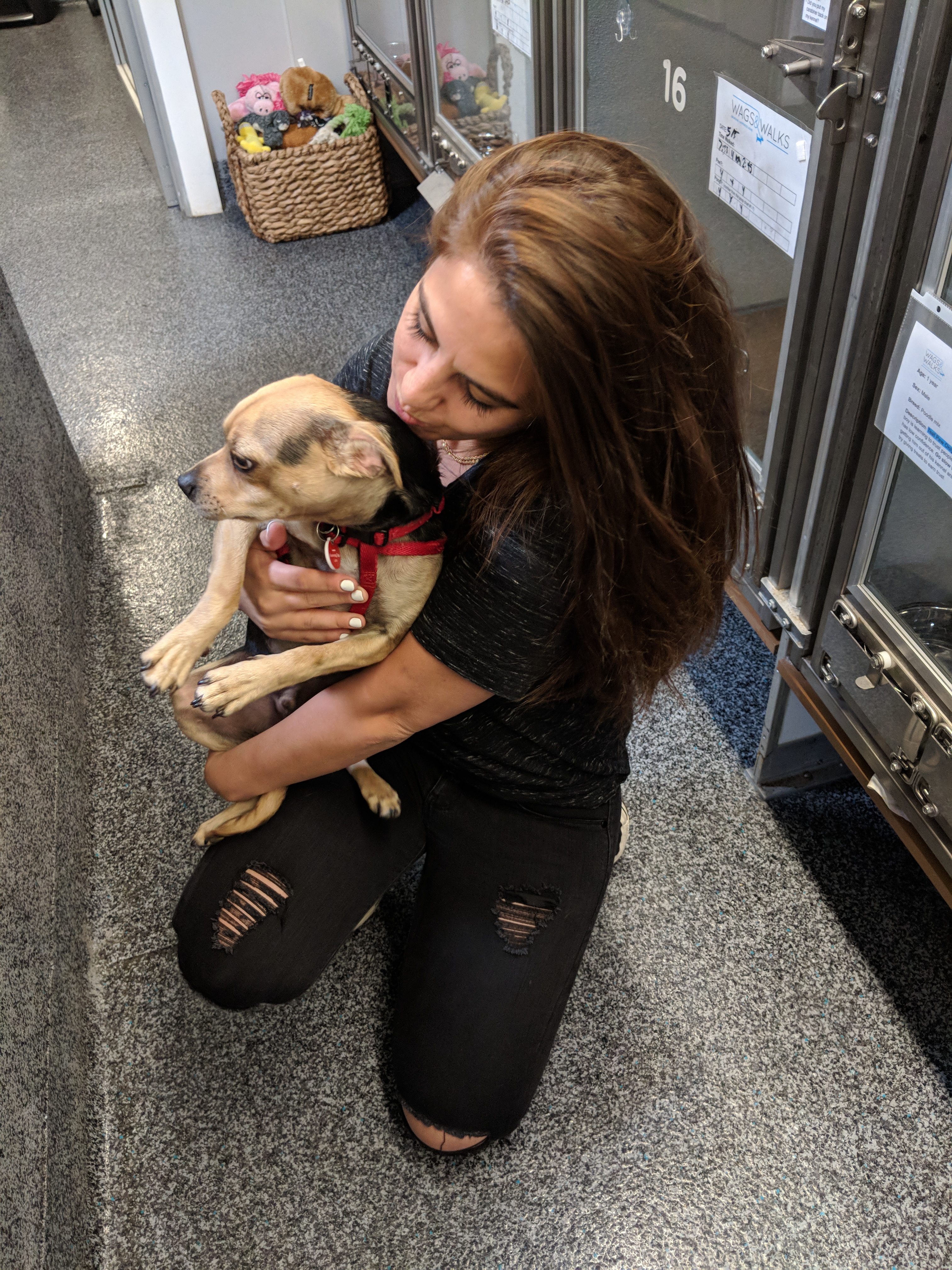 Patricia with a rescue dog at Wags and Walks